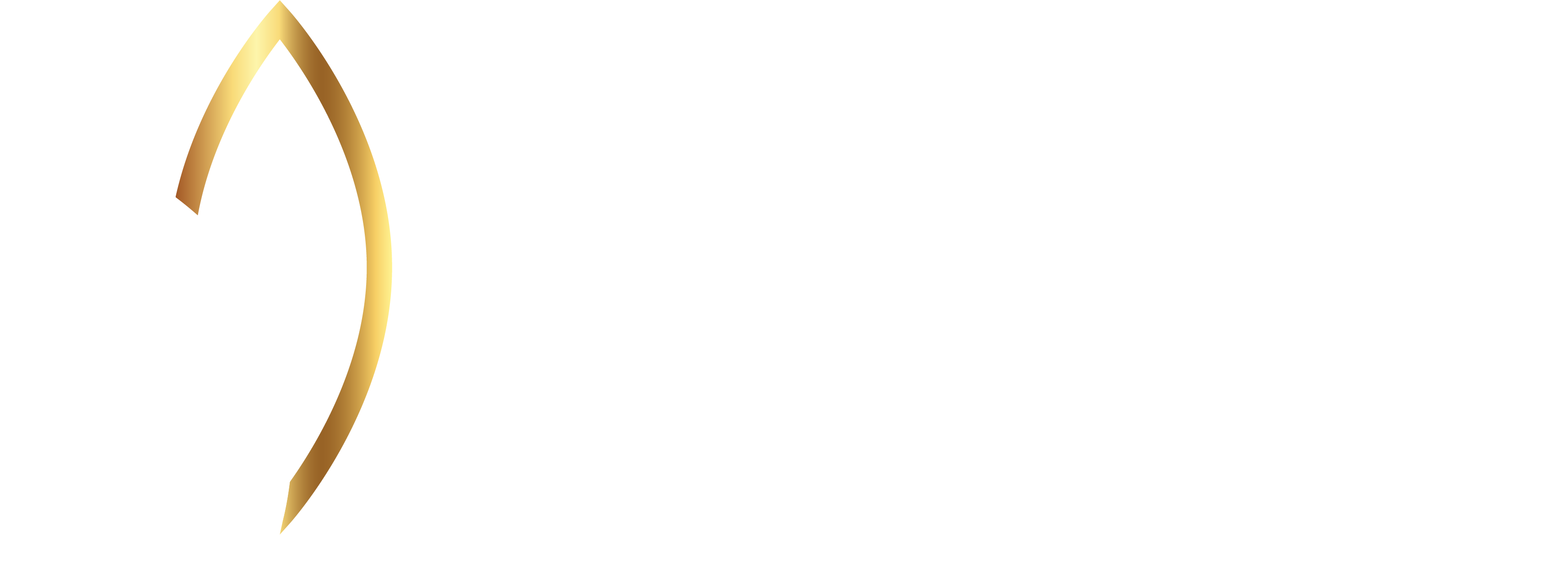 InnoSight Financial